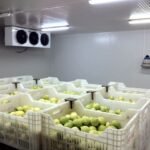 antalya yaş sebze meyve, antalya sebze meyve hali, antalya toptan sebze meyve, yaş sebze meyve ticareti, antalya sebze tedarikçisi, antalya meyve tedarikçisi, yaş sebze ihracatı, yaş meyve ihracatı, antalya tarım ürünleri, taze sebze meyve, günlük taze sebze, günlük taze meyve, sebze meyve toptancısı, antalya hal firması, yaş sebze meyve firması, antalya gıda tedarikçisi, yerli sebze meyve, antalya tarım ticareti, sebze meyve dağıtımı, antalya sebze meyve ihracat, taze tarım ürünleri, yaş sebze meyve pazarı, antalya sebze meyve şirketi, güvenilir sebze meyve firması, kaliteli yaş sebze meyve