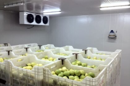 antalya yaş sebze meyve, antalya sebze meyve hali, antalya toptan sebze meyve, yaş sebze meyve ticareti, antalya sebze tedarikçisi, antalya meyve tedarikçisi, yaş sebze ihracatı, yaş meyve ihracatı, antalya tarım ürünleri, taze sebze meyve, günlük taze sebze, günlük taze meyve, sebze meyve toptancısı, antalya hal firması, yaş sebze meyve firması, antalya gıda tedarikçisi, yerli sebze meyve, antalya tarım ticareti, sebze meyve dağıtımı, antalya sebze meyve ihracat, taze tarım ürünleri, yaş sebze meyve pazarı, antalya sebze meyve şirketi, güvenilir sebze meyve firması, kaliteli yaş sebze meyve