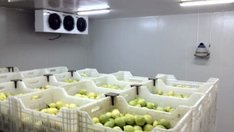 3 antalya yaş sebze meyve, antalya sebze meyve hali, antalya toptan sebze meyve, yaş sebze meyve ticareti, antalya sebze tedarikçisi, antalya meyve tedarikçisi, yaş sebze ihracatı, yaş meyve ihracatı, antalya tarım ürünleri, taze sebze meyve, günlük taze sebze, günlük taze meyve, sebze meyve toptancısı, antalya hal firması, yaş sebze meyve firması, antalya gıda tedarikçisi, yerli sebze meyve, antalya tarım ticareti, sebze meyve dağıtımı, antalya sebze meyve ihracat, taze tarım ürünleri, yaş sebze meyve pazarı, antalya sebze meyve şirketi, güvenilir sebze meyve firması, kaliteli yaş sebze meyve