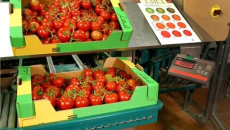 antalya yaş sebze meyve, antalya sebze meyve hali, antalya toptan sebze meyve, yaş sebze meyve ticareti, antalya sebze tedarikçisi, antalya meyve tedarikçisi, yaş sebze ihracatı, yaş meyve ihracatı, antalya tarım ürünleri, taze sebze meyve, günlük taze sebze, günlük taze meyve, sebze meyve toptancısı, antalya hal firması, yaş sebze meyve firması, antalya gıda tedarikçisi, yerli sebze meyve, antalya tarım ticareti, sebze meyve dağıtımı, antalya sebze meyve ihracat, taze tarım ürünleri, yaş sebze meyve pazarı, antalya sebze meyve şirketi, güvenilir sebze meyve firması, kaliteli yaş sebze meyve antalya yaş sebze meyve, antalya sebze meyve hali, antalya toptan sebze meyve, yaş sebze meyve ticareti, antalya sebze tedarikçisi, antalya meyve tedarikçisi, yaş sebze ihracatı, yaş meyve ihracatı, antalya tarım ürünleri, taze sebze meyve, günlük taze sebze, günlük taze meyve, sebze meyve toptancısı, antalya hal firması, yaş sebze meyve firması, antalya gıda tedarikçisi, yerli sebze meyve, antalya tarım ticareti, sebze meyve dağıtımı, antalya sebze meyve ihracat, taze tarım ürünleri, yaş sebze meyve pazarı, antalya sebze meyve şirketi, güvenilir sebze meyve firması, kaliteli yaş sebze meyve