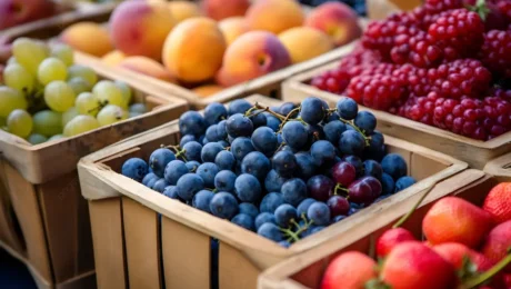 antalya yaş sebze meyve, antalya sebze meyve hali, antalya toptan sebze meyve, yaş sebze meyve ticareti, antalya sebze tedarikçisi, antalya meyve tedarikçisi, yaş sebze ihracatı, yaş meyve ihracatı, antalya tarım ürünleri, taze sebze meyve, günlük taze sebze, günlük taze meyve, sebze meyve toptancısı, antalya hal firması, yaş sebze meyve firması, antalya gıda tedarikçisi, yerli sebze meyve, antalya tarım ticareti, sebze meyve dağıtımı, antalya sebze meyve ihracat, taze tarım ürünleri, yaş sebze meyve pazarı, antalya sebze meyve şirketi, güvenilir sebze meyve firması, kaliteli yaş sebze meyve antalya yaş sebze meyve, antalya sebze meyve hali, antalya toptan sebze meyve, yaş sebze meyve ticareti, antalya sebze tedarikçisi, antalya meyve tedarikçisi, yaş sebze ihracatı, yaş meyve ihracatı, antalya tarım ürünleri, taze sebze meyve, günlük taze sebze, günlük taze meyve, sebze meyve toptancısı, antalya hal firması, yaş sebze meyve firması, antalya gıda tedarikçisi, yerli sebze meyve, antalya tarım ticareti, sebze meyve dağıtımı, antalya sebze meyve ihracat, taze tarım ürünleri, yaş sebze meyve pazarı, antalya sebze meyve şirketi, güvenilir sebze meyve firması, kaliteli yaş sebze meyve