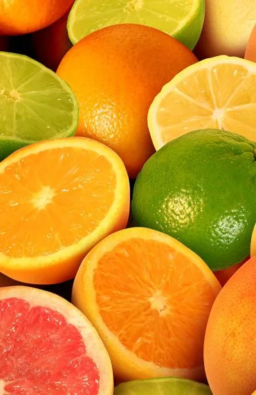 antalya yaş sebze meyve, antalya sebze meyve hali, antalya toptan sebze meyve, yaş sebze meyve ticareti, antalya sebze tedarikçisi, antalya meyve tedarikçisi, yaş sebze ihracatı, yaş meyve ihracatı, antalya tarım ürünleri, taze sebze meyve, günlük taze sebze, günlük taze meyve, sebze meyve toptancısı, antalya hal firması, yaş sebze meyve firması, antalya gıda tedarikçisi, yerli sebze meyve, antalya tarım ticareti, sebze meyve dağıtımı, antalya sebze meyve ihracat, taze tarım ürünleri, yaş sebze meyve pazarı, antalya sebze meyve şirketi, güvenilir sebze meyve firması, kaliteli yaş sebze meyve