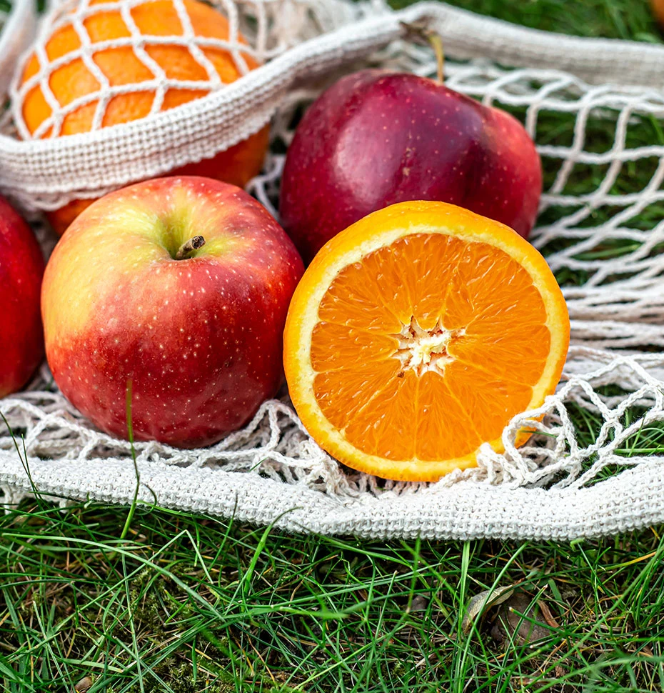 antalya yaş sebze meyve, antalya sebze meyve hali, antalya toptan sebze meyve, yaş sebze meyve ticareti, antalya sebze tedarikçisi, antalya meyve tedarikçisi, yaş sebze ihracatı, yaş meyve ihracatı, antalya tarım ürünleri, taze sebze meyve, günlük taze sebze, günlük taze meyve, sebze meyve toptancısı, antalya hal firması, yaş sebze meyve firması, antalya gıda tedarikçisi, yerli sebze meyve, antalya tarım ticareti, sebze meyve dağıtımı, antalya sebze meyve ihracat, taze tarım ürünleri, yaş sebze meyve pazarı, antalya sebze meyve şirketi, güvenilir sebze meyve firması, kaliteli yaş sebze meyve