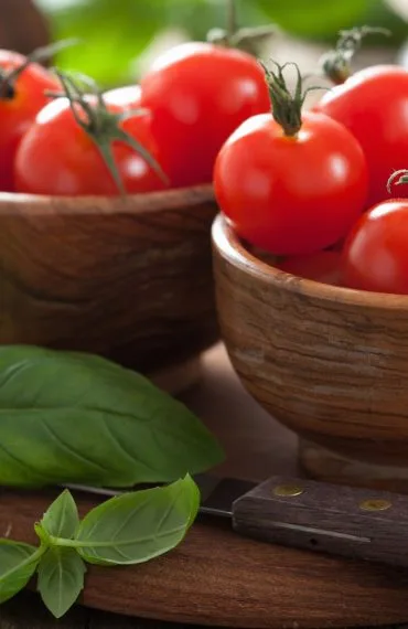 antalya yaş sebze meyve, antalya sebze meyve hali, antalya toptan sebze meyve, yaş sebze meyve ticareti, antalya sebze tedarikçisi, antalya meyve tedarikçisi, yaş sebze ihracatı, yaş meyve ihracatı, antalya tarım ürünleri, taze sebze meyve, günlük taze sebze, günlük taze meyve, sebze meyve toptancısı, antalya hal firması, yaş sebze meyve firması, antalya gıda tedarikçisi, yerli sebze meyve, antalya tarım ticareti, sebze meyve dağıtımı, antalya sebze meyve ihracat, taze tarım ürünleri, yaş sebze meyve pazarı, antalya sebze meyve şirketi, güvenilir sebze meyve firması, kaliteli yaş sebze meyve