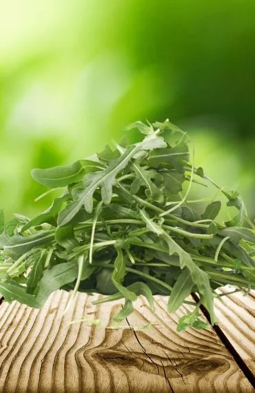 antalya yaş sebze meyve, antalya sebze meyve hali, antalya toptan sebze meyve, yaş sebze meyve ticareti, antalya sebze tedarikçisi, antalya meyve tedarikçisi, yaş sebze ihracatı, yaş meyve ihracatı, antalya tarım ürünleri, taze sebze meyve, günlük taze sebze, günlük taze meyve, sebze meyve toptancısı, antalya hal firması, yaş sebze meyve firması, antalya gıda tedarikçisi, yerli sebze meyve, antalya tarım ticareti, sebze meyve dağıtımı, antalya sebze meyve ihracat, taze tarım ürünleri, yaş sebze meyve pazarı, antalya sebze meyve şirketi, güvenilir sebze meyve firması, kaliteli yaş sebze meyve